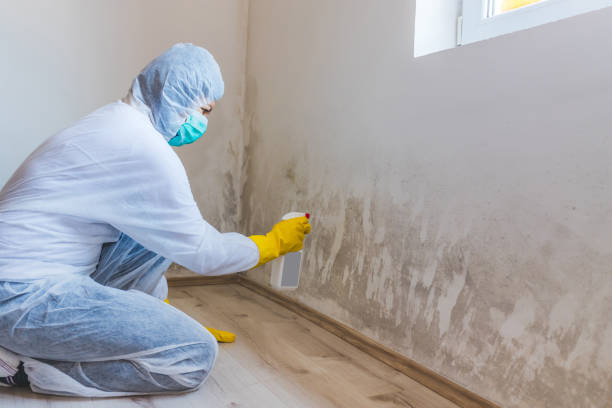 Licensed Attic Mold Removal service in Garland, NC - WQB Mold Removal