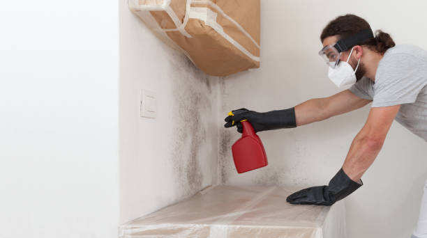Professional Attic Mold Removal technician working in Garland, NC