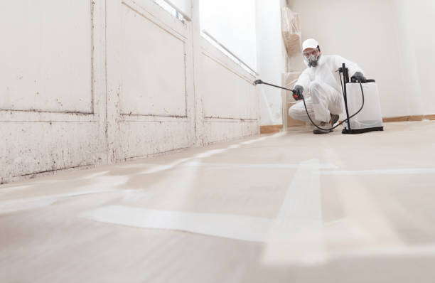 24/7 Emergency Attic Mold Removal experts in Garland, NC