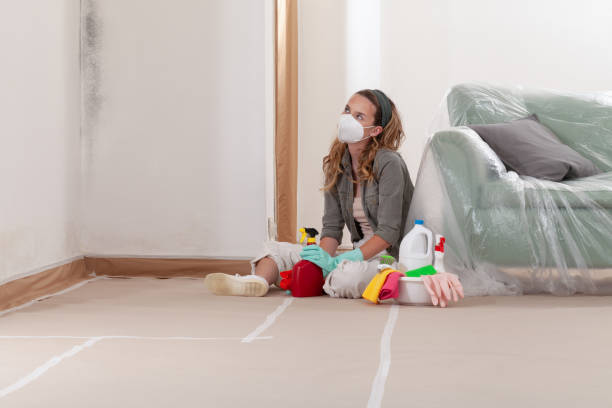 Reliable Attic Mold Removal contractor in Garland, NC by WQB Mold Removal