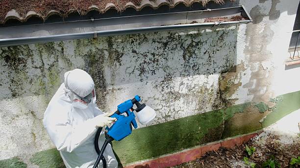 Top rated local Attic Mold Removal specialists in Garland, NC